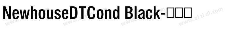 NewhouseDTCond Black字体转换